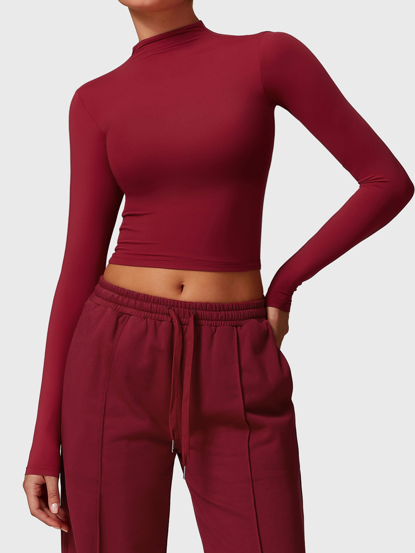 Tebeary Heno Turtle Neck Long Sleeve Crop Top